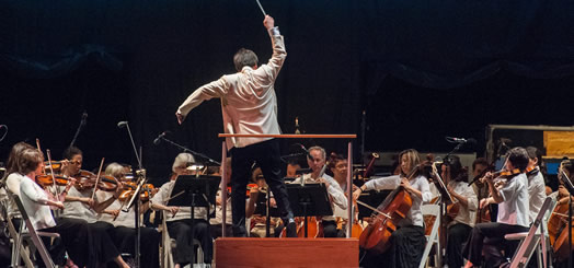 LIVE MUSIC SOUNDS GREAT OUTSIDE: Over the summer, the New York Philharmonic played its annual concerts in the parks, including this performance of Tchaikovsky in Prospect Park, conducted by Maestro Alan Gilbert. Photo: Stephanie Berger