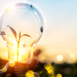 STAND UP FOR THE PLANET